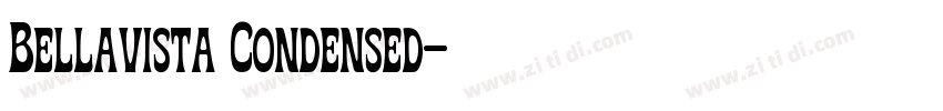 Bellavista Condensed字体转换